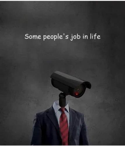 FB96EFD2-FCDB-4CF4-BD36-44DEAE1002E6