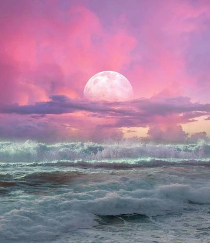 218255133_5782679178440454_8523076676402961550_n