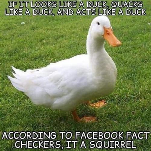 IMG_20210722_132507_088