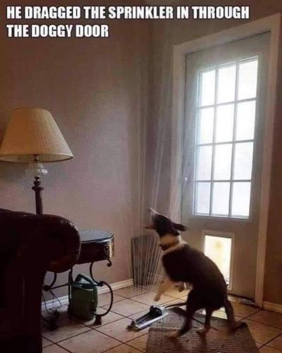 IMG_20210727_114235_133