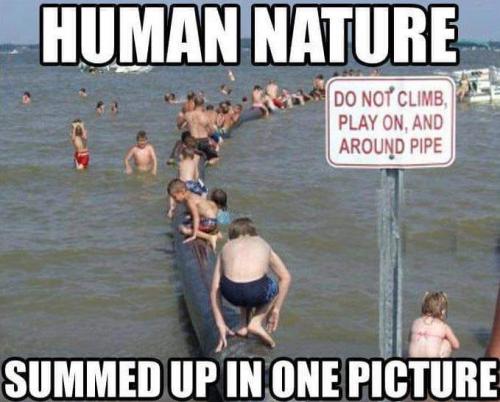 104206228_10157691306583842_8824491502324743251_n