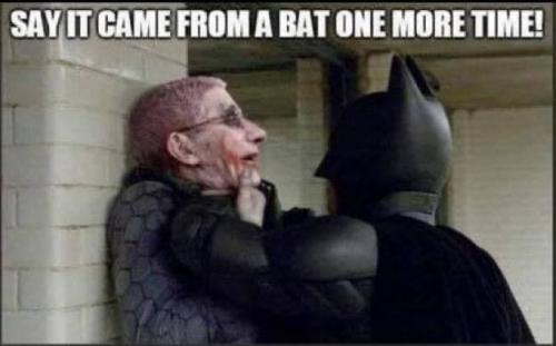 -5172688500988946663_120