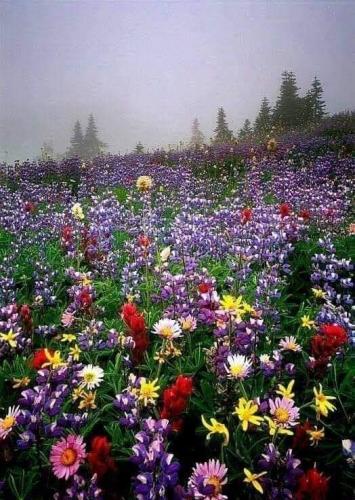 2a73c832e2ca706def7e5d4b17ab5e2f_1024