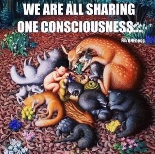 3323EEEF-43D8-43A0-B8E1-B64A5712D01E