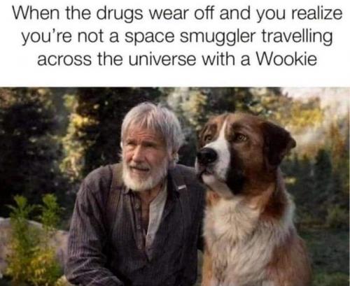 wookie