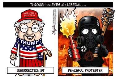 insurrectionist-peaceful protestor