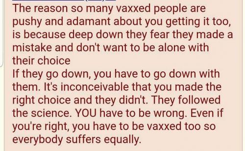 vaxxx
