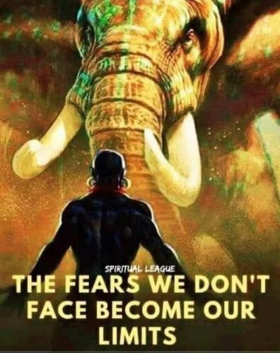 F31B0F29-CC43-40B8-847A-19D4999B4468