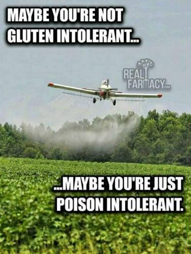 -5179316004893862228_120