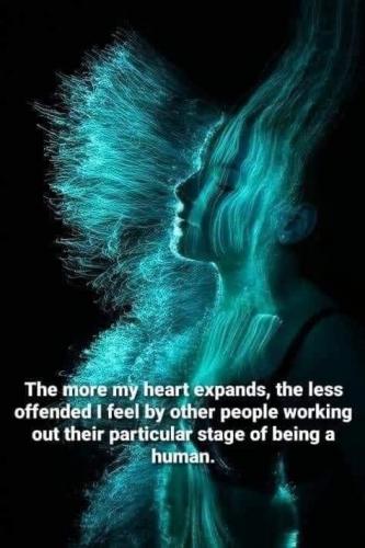 51FC7CE6-C6AA-46DA-B631-72639142E75D