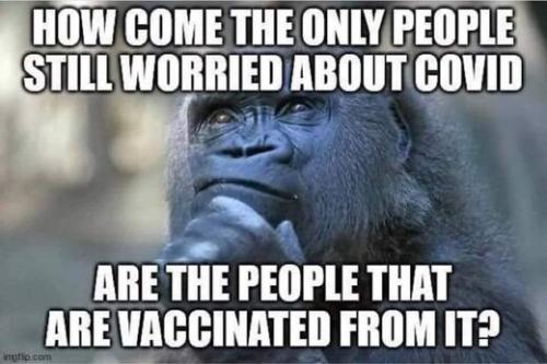 why-are-vaxxed-worried