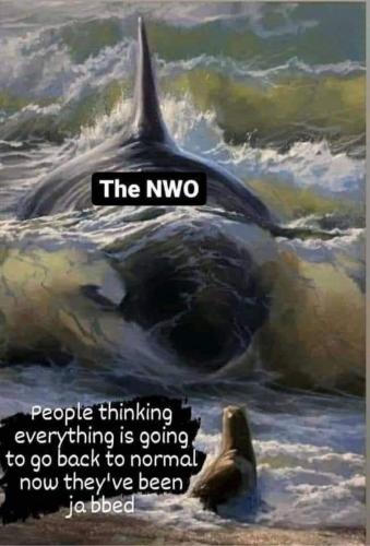 3254AF03-5FD5-4303-9B2A-25D022CF2E43