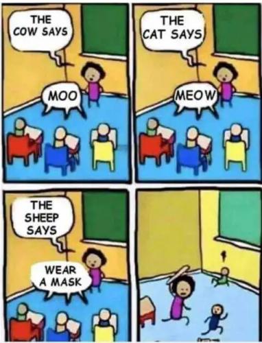 86207352-9637-4969-953E-58BEDBD30972