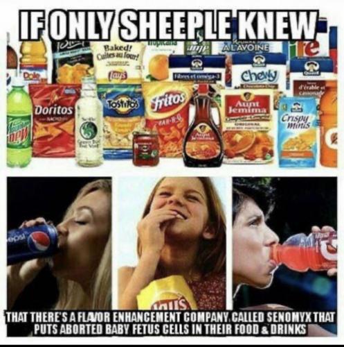 ED072C41-BF0B-4276-9C5B-34CF100BA254