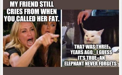 FB_IMG_1603553935190