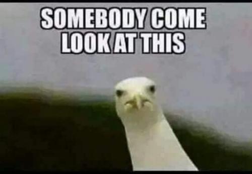 4DF83583-4080-4B0C-A443-467B8D954694