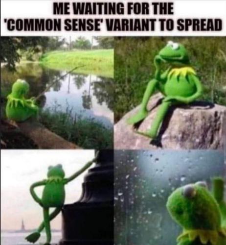 FB_IMG_1626662061885