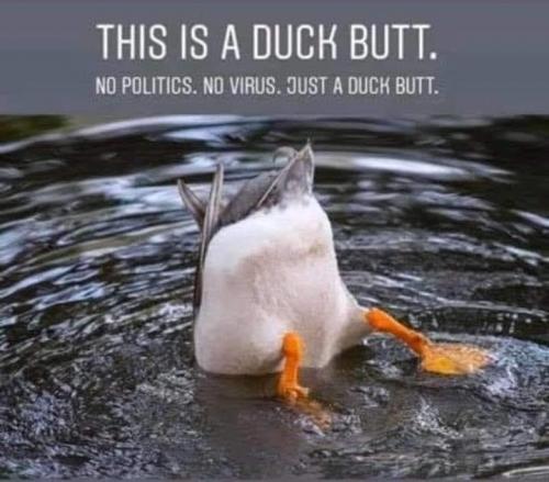 F46AE80E-54BB-4C52-A6EE-A4327C6CFC2E