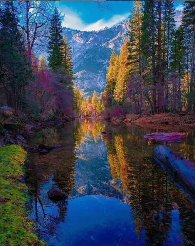 169584354_10158391221513842_1281169774733784291_n