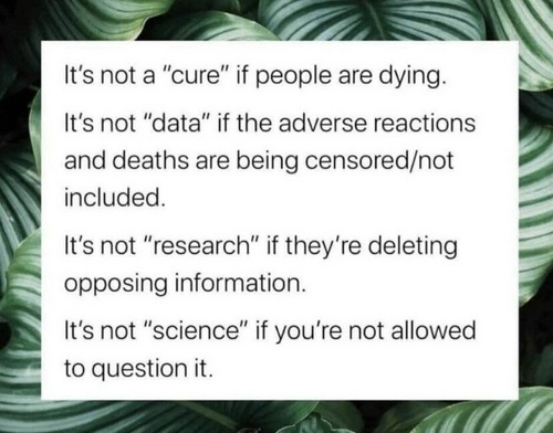 4c8501005ebd8801acfa49c7419bf794_500x0