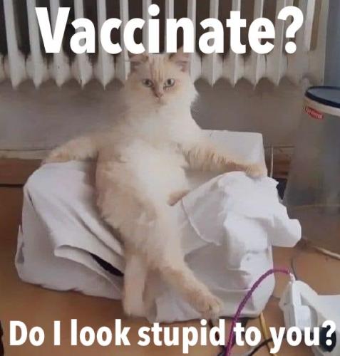 D723D240-9578-49FB-9ECF-6F2F0C46888D