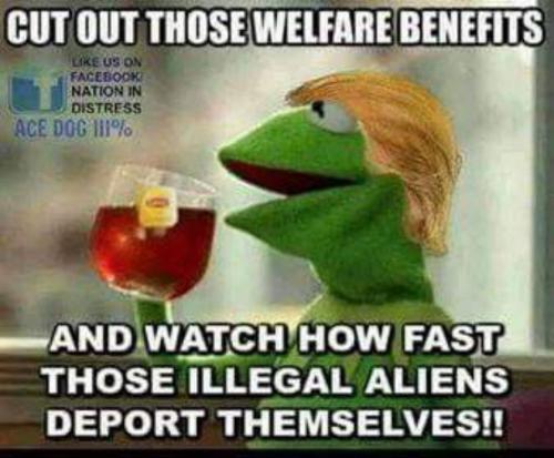 35295500_2268996476451823_9092247767639654400_n