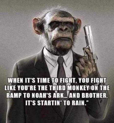 3f1a5cbe472b065b436396fe344b869d_1024