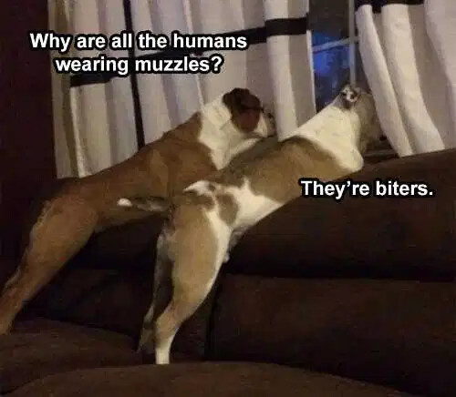 E1066EB6-BF96-4FEF-AAE9-2EE8BF3E96F1