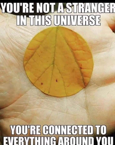 Screenshot_20210722-125921-905