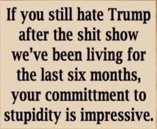 IF YOU STILL HATE TRUMP