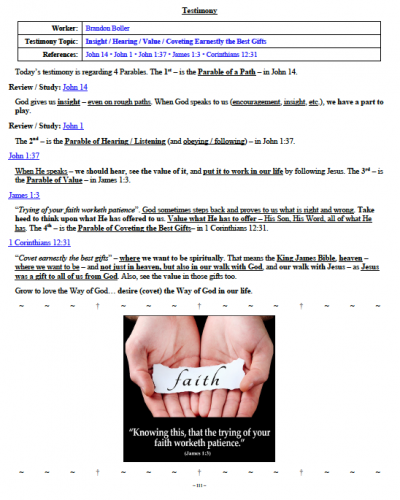 Brandon Boller's Testimony