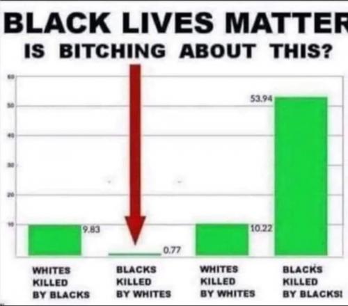 AA5B830B-777A-4DC5-BDAF-68D3DBE0496C