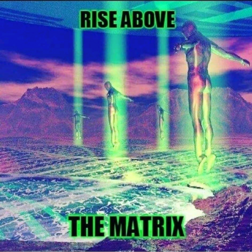 Screenshot_20210724-213230-727