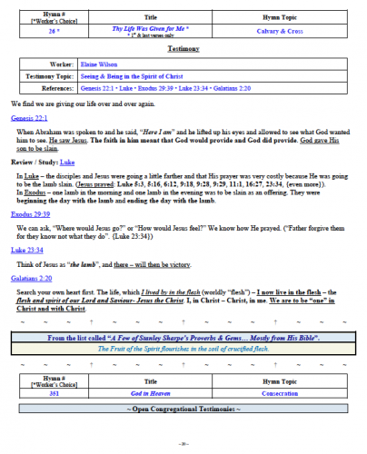 Elaine Wilson's Testimony
