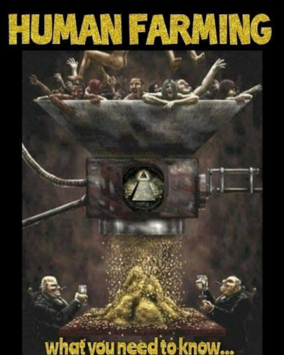 Screenshot_20210724-141906-675