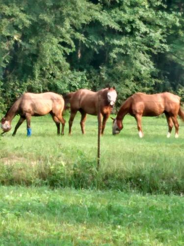 IMG_20210720_091843610_HDR