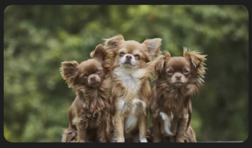 Screenshot_20210726-202029