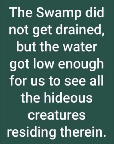 Swamp