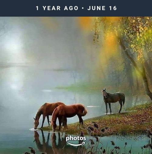 this-day-1623879472285