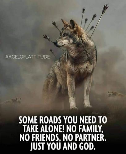 B56146A1-B519-43AA-88F7-1C7ADCEEE4C3