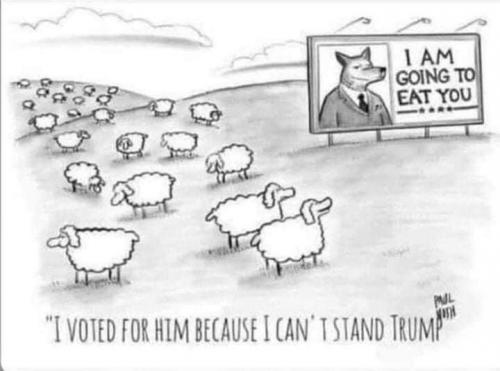 DBF32358-E43F-4737-B28D-CB44779A03A6