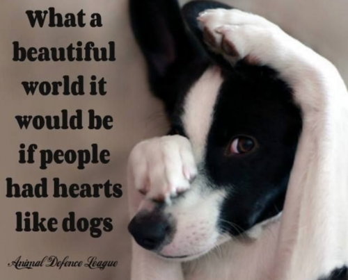 Screenshot_20210703-184052~2