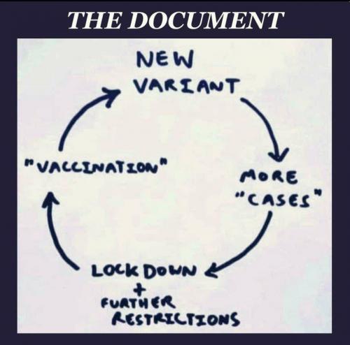 photo_2021-07-15_04-44-30