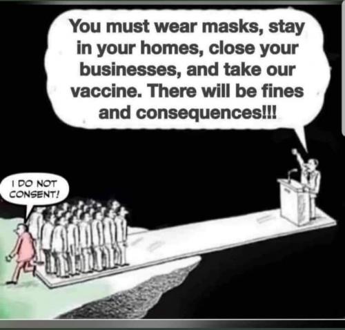 FB_IMG_1613428230271