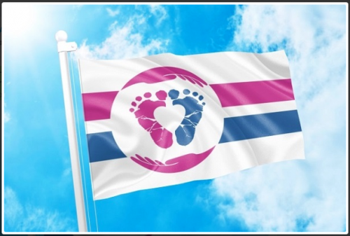 Abortion - Pro-Life Flag