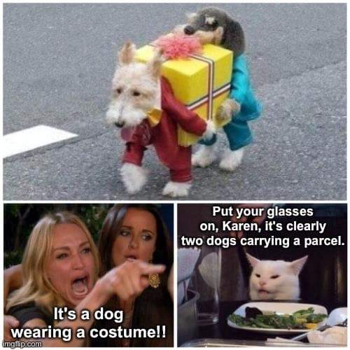 FB_IMG_1603553845637