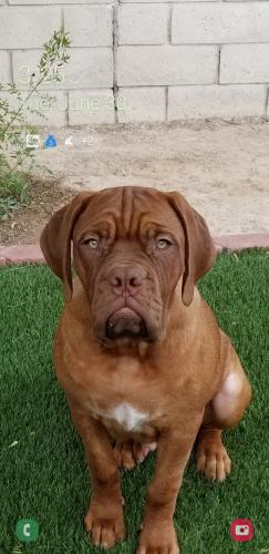 Screenshot_20200630-152504_Messages