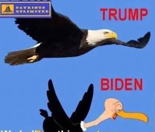 F78BE561-6A33-46E0-AA10-CC167630339A