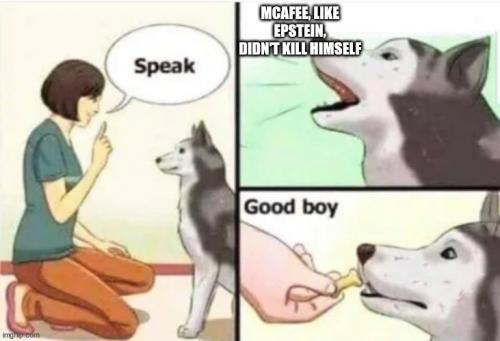 mcafee-didnt-kill-himself