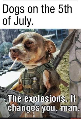 0b9a0b2eccc58867f059d899f225a043c2446b06bd08a322381ac9c040373028_1